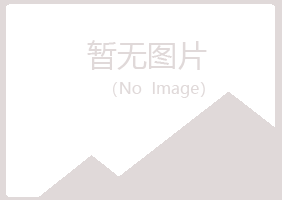 浏阳冰夏化学有限公司